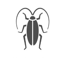 ゴキブリ駆除- 広島害虫害獣駆除専門トレンドワン・ペストコントロール株式会社