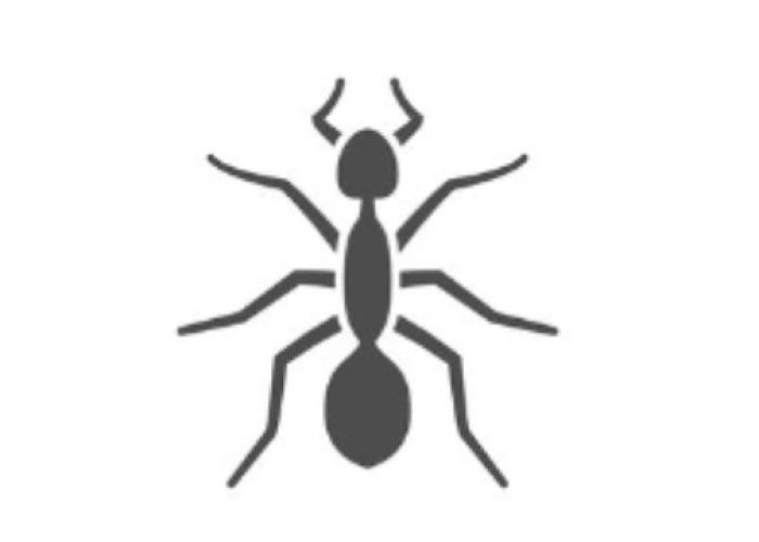 アリの駆除- 広島害虫害獣駆除専門トレンドワン・ペストコントロール株式会社