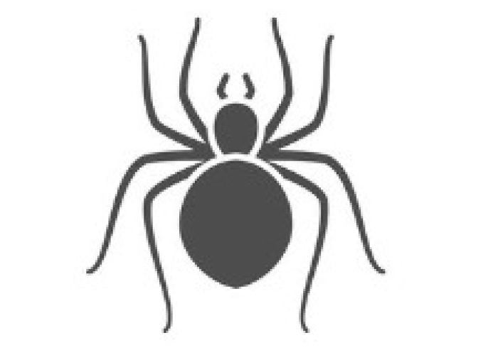 クモの駆除②- 広島害虫害獣駆除専門トレンドワン・ペストコントロール株式会社