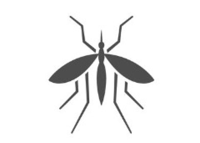 蚊・やぶ蚊の駆除- 広島害虫害獣駆除専門トレンドワン・ペストコントロール株式会社